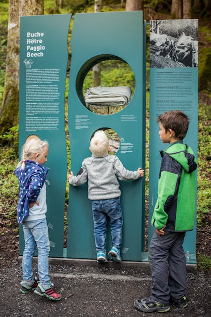 Kinder entdecken die verschiedenen Stationen des Waldlehrpfades im Freilichtmuseum Ballenberg.