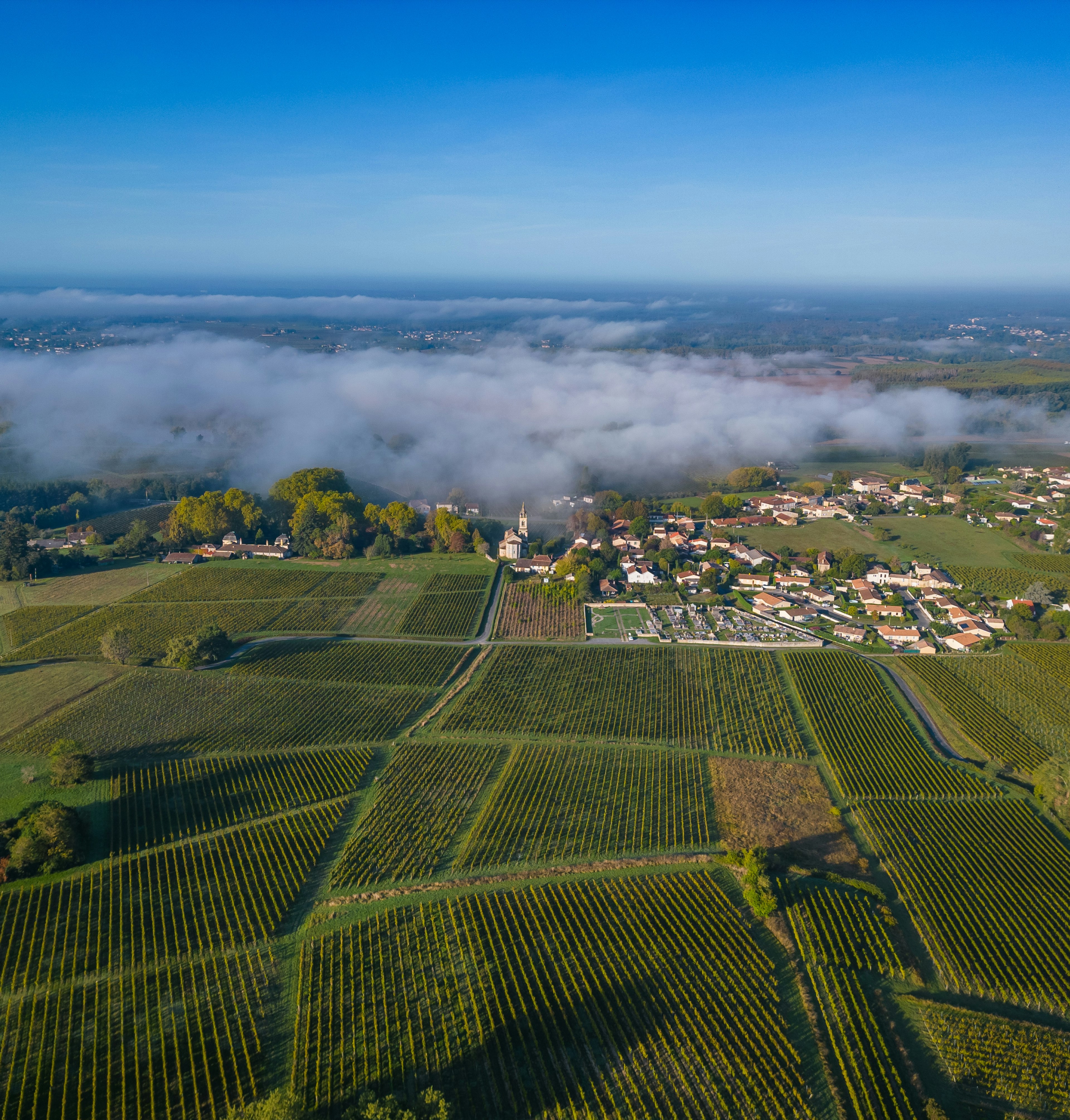 sauternes
