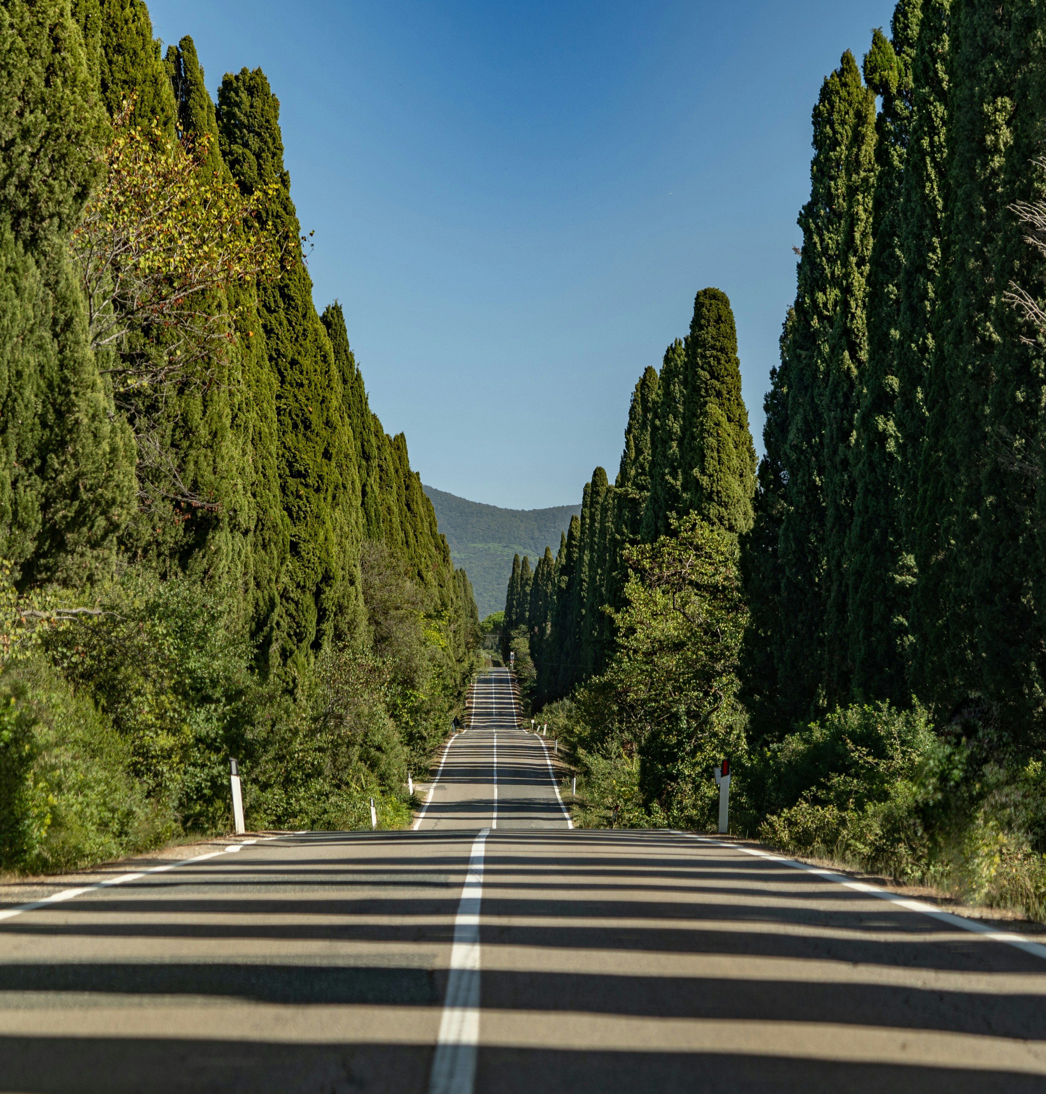 bolgheri