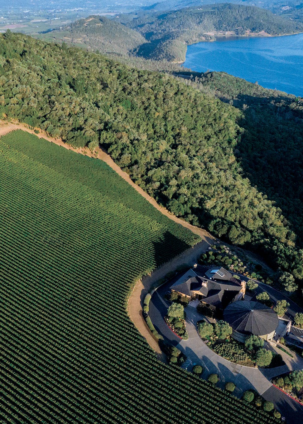 © Colgin Cellars