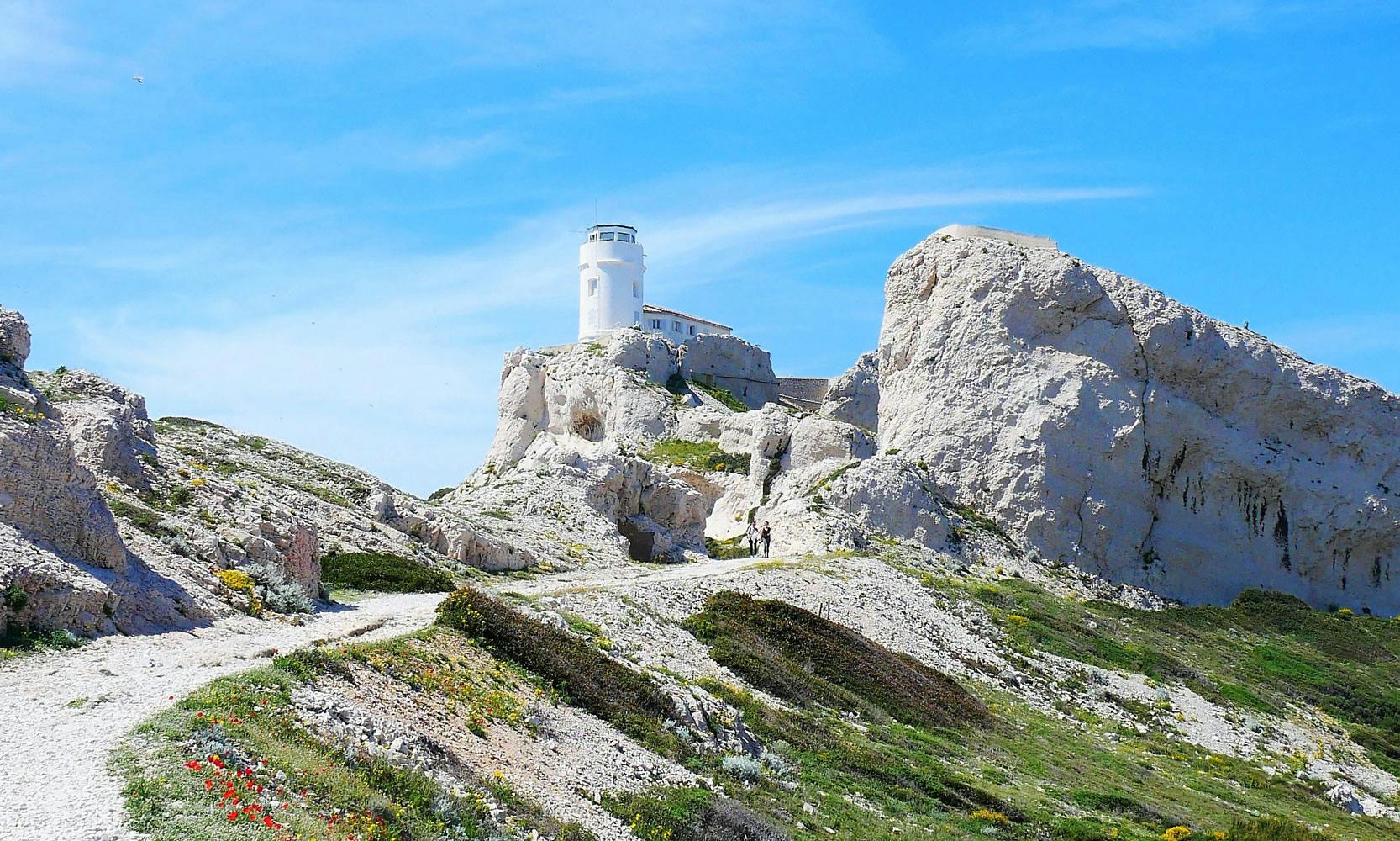 cover-image
