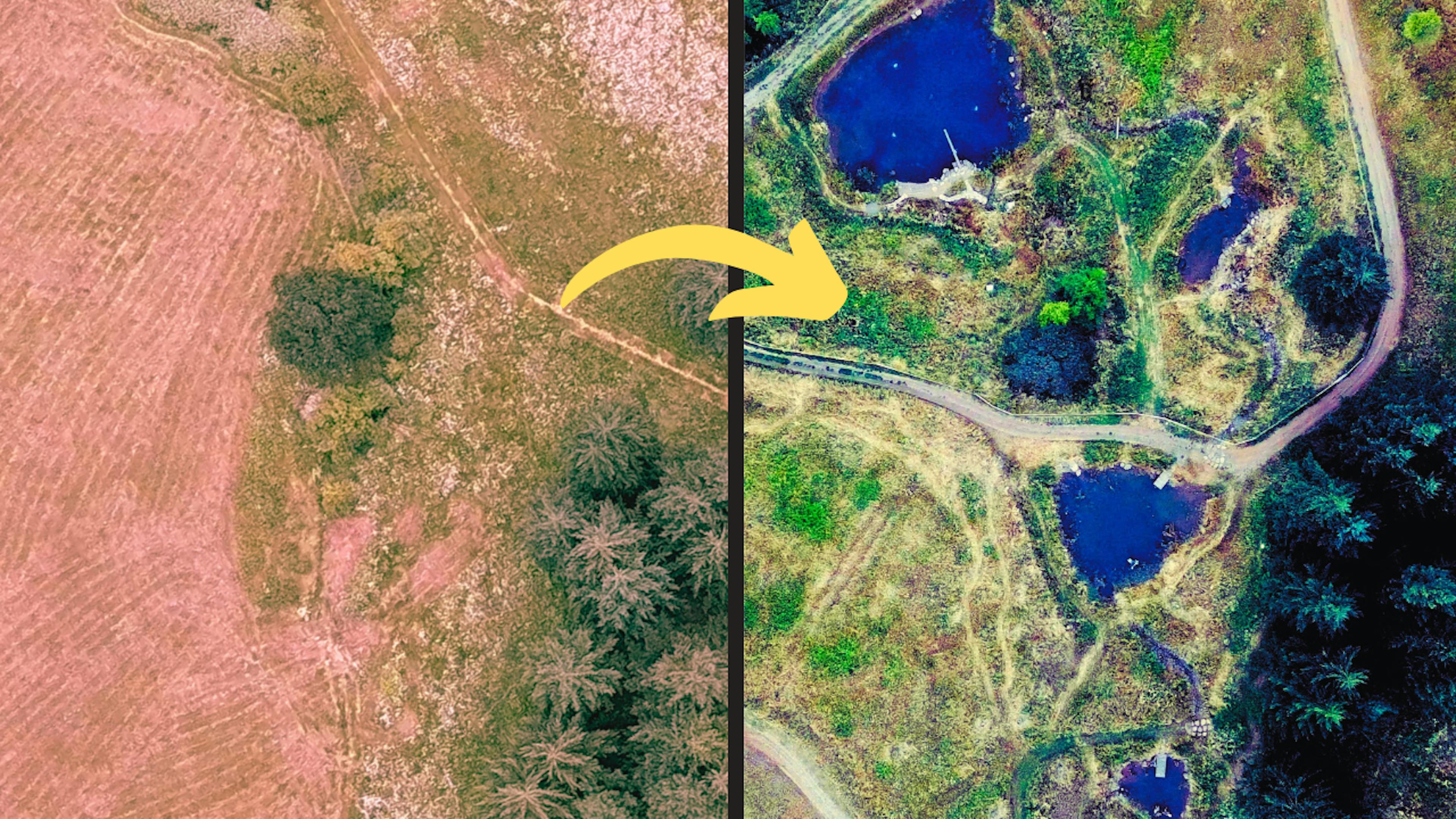 Before and after side-by-side images showing a restored landscape from desertification
