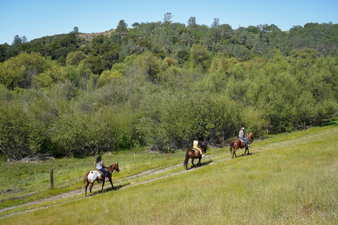 Central Coast Trailrides leads a horseback riding adventure up a hill at Santa Margarita Ranch in Paso Robles 