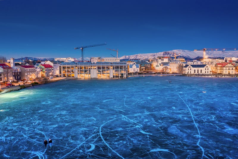 Reykjavik pond in winter